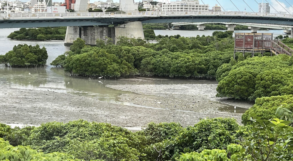 昔、『漫湖』は海みたいだった？ 〜漫湖の遷り変わり〜｜那覇市 小禄地域・豊見城市豊見城