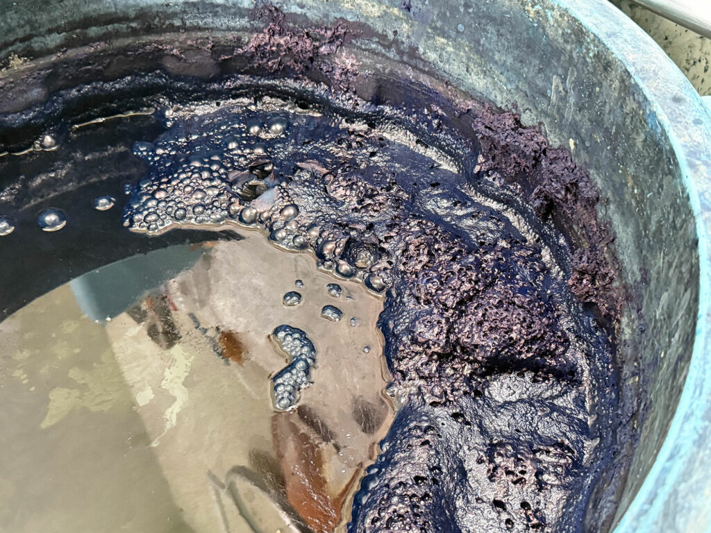 「藍染」がはじまりましたよ！【小禄クンジー研究会だより no.1】｜那覇市字小禄