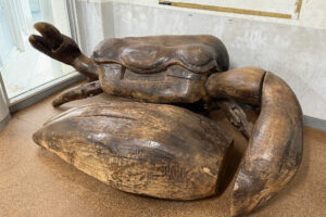 小禄小学校のシオマネキが干潟へ里帰り【前編】シオマネキについて学ぶ講演会（ 2025年12月4日）｜主催：漫湖水鳥・湿地センター管理運営協議会｜那覇市字小禄 那覇市立小禄小学校