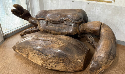 小禄小学校のシオマネキが干潟へ里帰り【前編】シオマネキについて学ぶ講演会( 2025年12月4日)|主催:漫湖水鳥・湿地センター管理運営協議会|那覇市字小禄 那覇市立小禄小学校