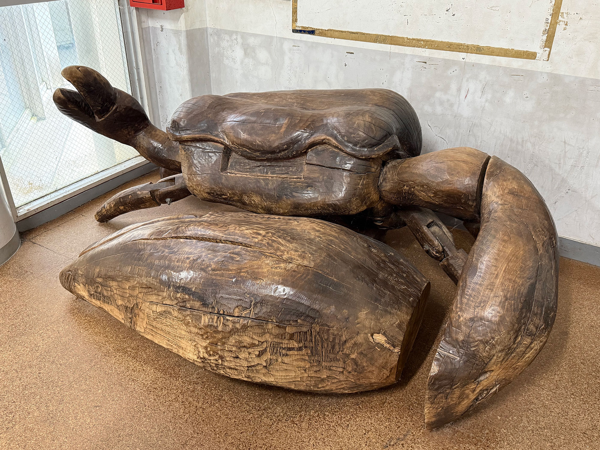 小禄小学校のシオマネキが干潟へ里帰り【前編】シオマネキについて学ぶ講演会（ 2025年12月4日）｜主催：漫湖水鳥・湿地センター管理運営協議会｜那覇市字小禄 那覇市立小禄小学校