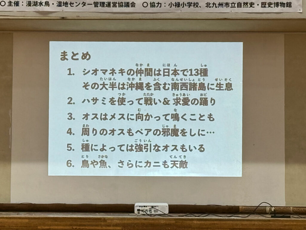 小禄小学校のシオマネキが干潟へ里帰り【前編】シオマネキについて学ぶ講演会( 2025年12月4日)|主催:漫湖水鳥・湿地センター管理運営協議会|那覇市字小禄 那覇市立小禄小学校