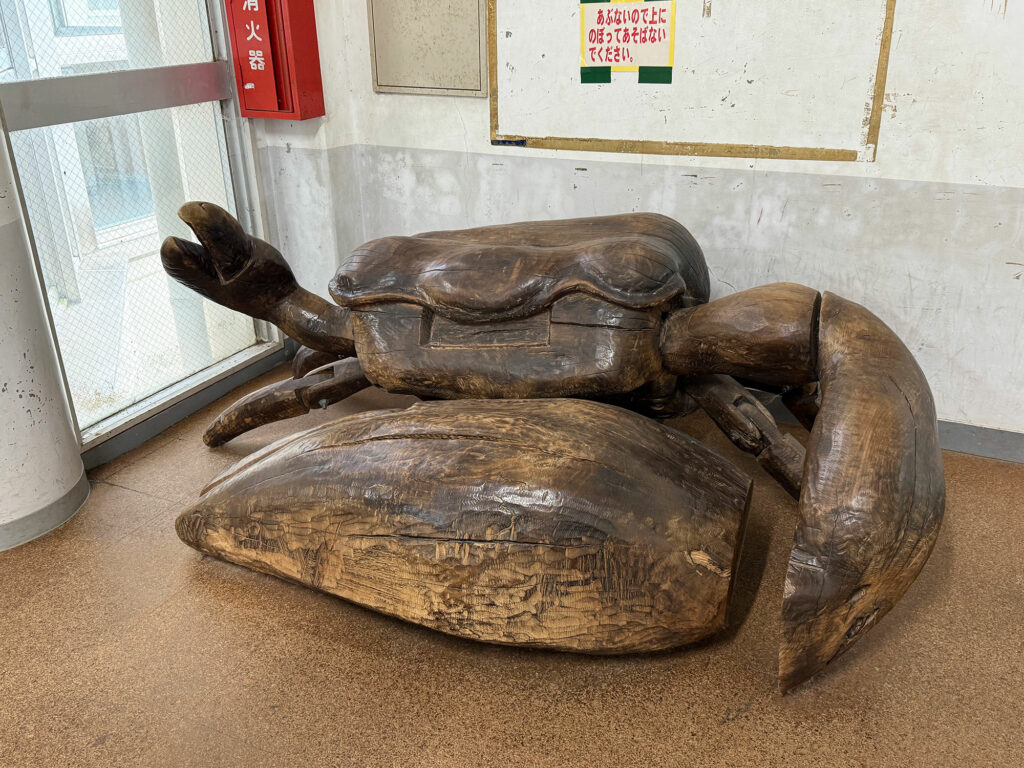 小禄小学校のシオマネキが干潟へ里帰り【前編】シオマネキについて学ぶ講演会( 2025年12月4日)|主催:漫湖水鳥・湿地センター管理運営協議会|那覇市字小禄 那覇市立小禄小学校