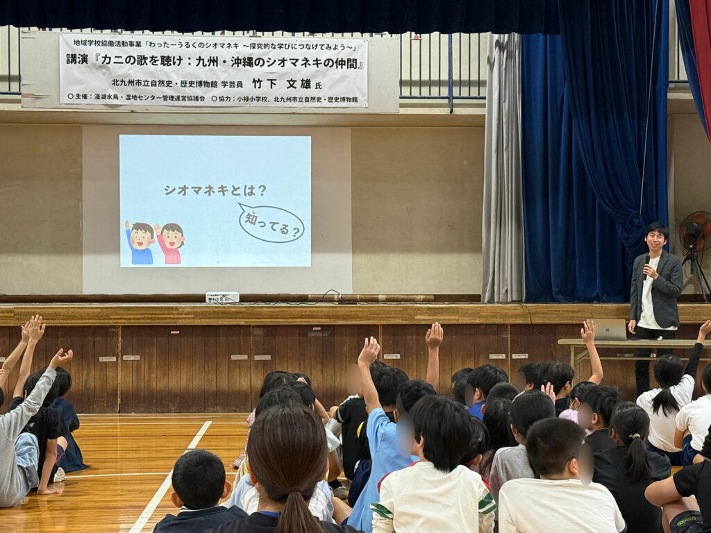 小禄小学校のシオマネキが干潟へ里帰り【前編】シオマネキについて学ぶ講演会( 2025年12月4日)|主催:漫湖水鳥・湿地センター管理運営協議会|那覇市字小禄 那覇市立小禄小学校