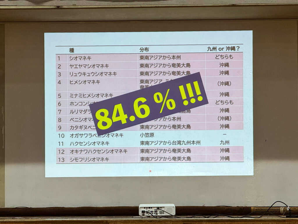 小禄小学校のシオマネキが干潟へ里帰り【前編】シオマネキについて学ぶ講演会( 2025年12月4日)|主催:漫湖水鳥・湿地センター管理運営協議会|那覇市字小禄 那覇市立小禄小学校
