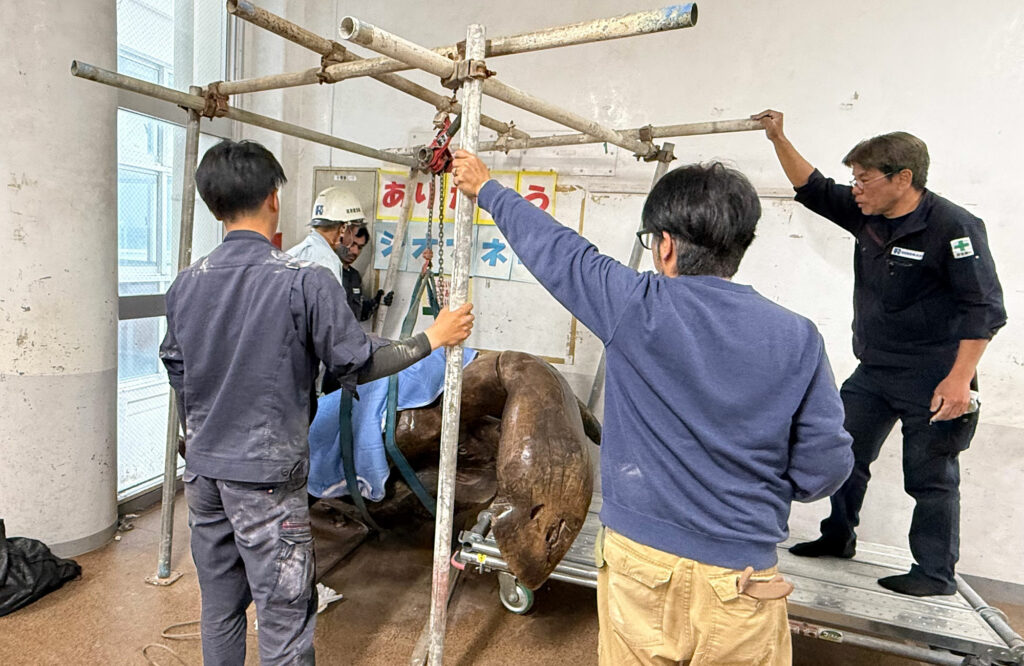 小禄小学校のシオマネキが干潟へ里帰り【後編】シオマネキ引っ越し大作戦!( 2026年2月21日)|主催:漫湖水鳥・湿地センター管理運営協議会|那覇市立小禄小学校