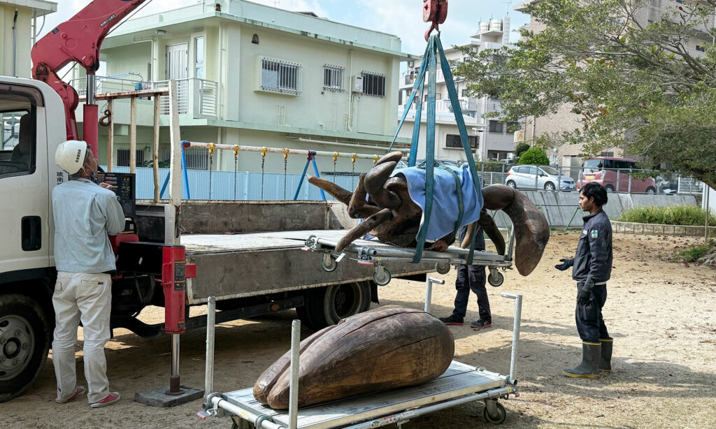 小禄小学校のシオマネキが干潟へ里帰り【後編】シオマネキ引っ越し大作戦!( 2026年2月21日)|主催:漫湖水鳥・湿地センター管理運営協議会|那覇市立小禄小学校