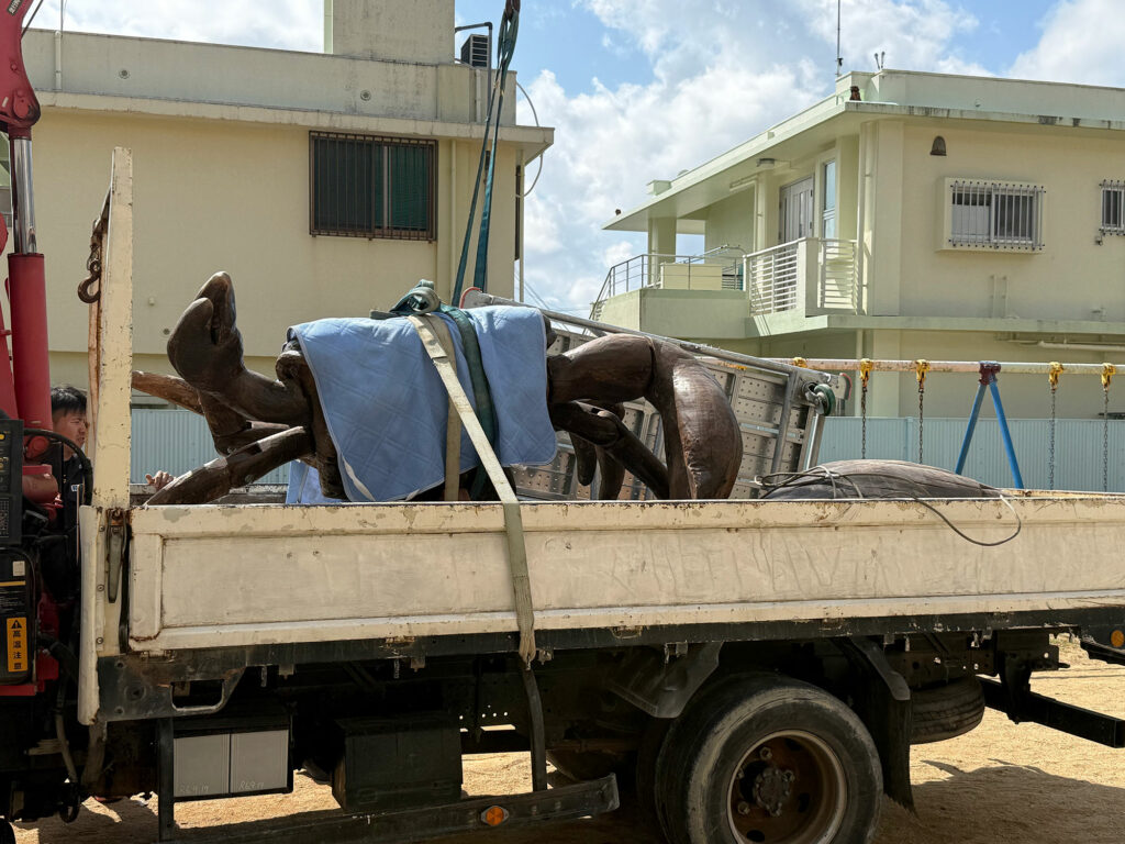 小禄小学校のシオマネキが干潟へ里帰り【後編】シオマネキ引っ越し大作戦!( 2026年2月21日)|主催:漫湖水鳥・湿地センター管理運営協議会|那覇市立小禄小学校