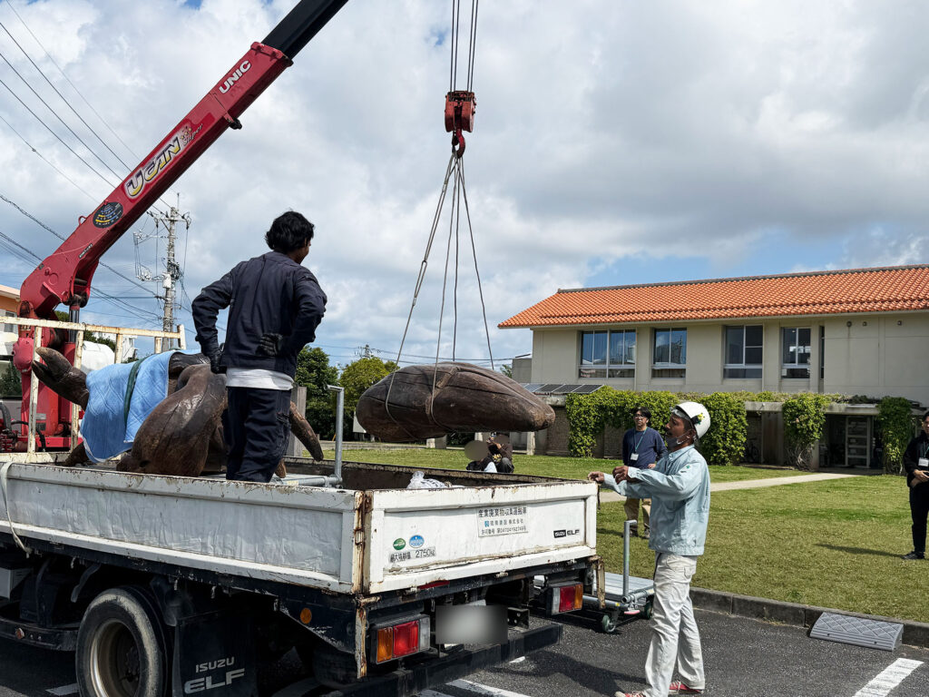 小禄小学校のシオマネキが干潟へ里帰り【後編】シオマネキ引っ越し大作戦!( 2026年2月21日)|主催:漫湖水鳥・湿地センター管理運営協議会|那覇市立小禄小学校