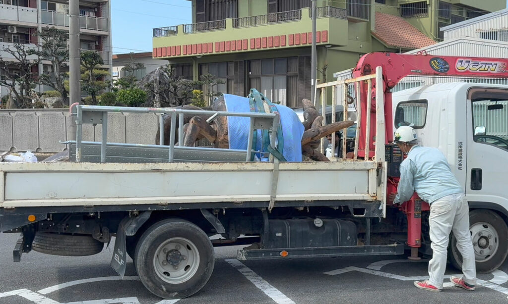 小禄小学校のシオマネキが干潟へ里帰り【後編】シオマネキ引っ越し大作戦!( 2026年2月21日)|主催:漫湖水鳥・湿地センター管理運営協議会|那覇市立小禄小学校