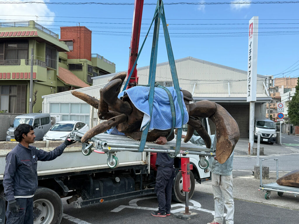 小禄小学校のシオマネキが干潟へ里帰り【後編】シオマネキ引っ越し大作戦!( 2026年2月21日)|主催:漫湖水鳥・湿地センター管理運営協議会|那覇市立小禄小学校