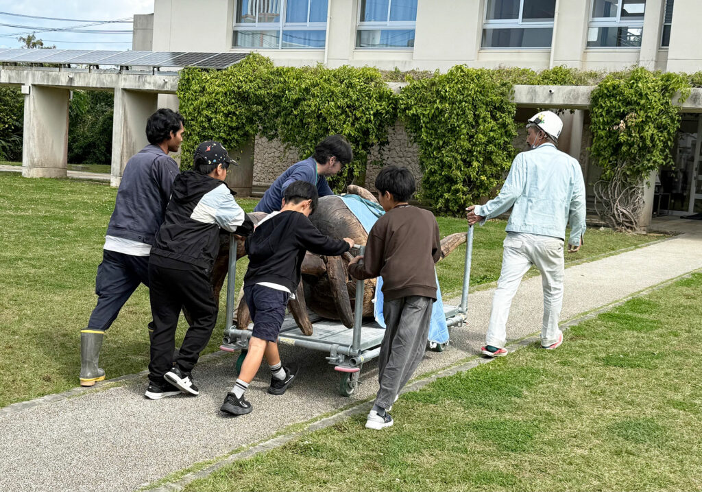 小禄小学校のシオマネキが干潟へ里帰り【後編】シオマネキ引っ越し大作戦!( 2026年2月21日)|主催:漫湖水鳥・湿地センター管理運営協議会|那覇市立小禄小学校