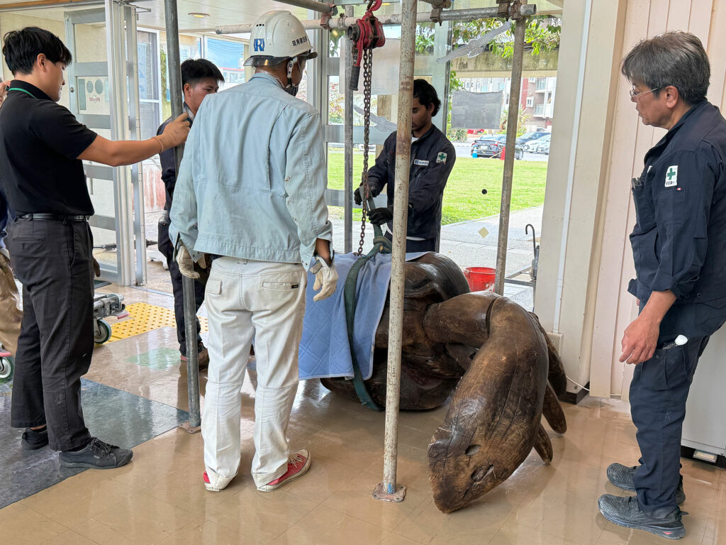 小禄小学校のシオマネキが干潟へ里帰り【後編】シオマネキ引っ越し大作戦!( 2026年2月21日)|主催:漫湖水鳥・湿地センター管理運営協議会|那覇市立小禄小学校