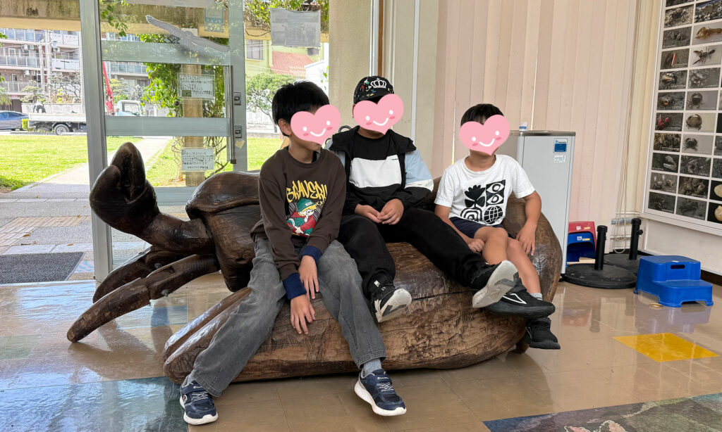 小禄小学校のシオマネキが干潟へ里帰り【後編】シオマネキ引っ越し大作戦!( 2026年2月21日)|主催:漫湖水鳥・湿地センター管理運営協議会|那覇市立小禄小学校