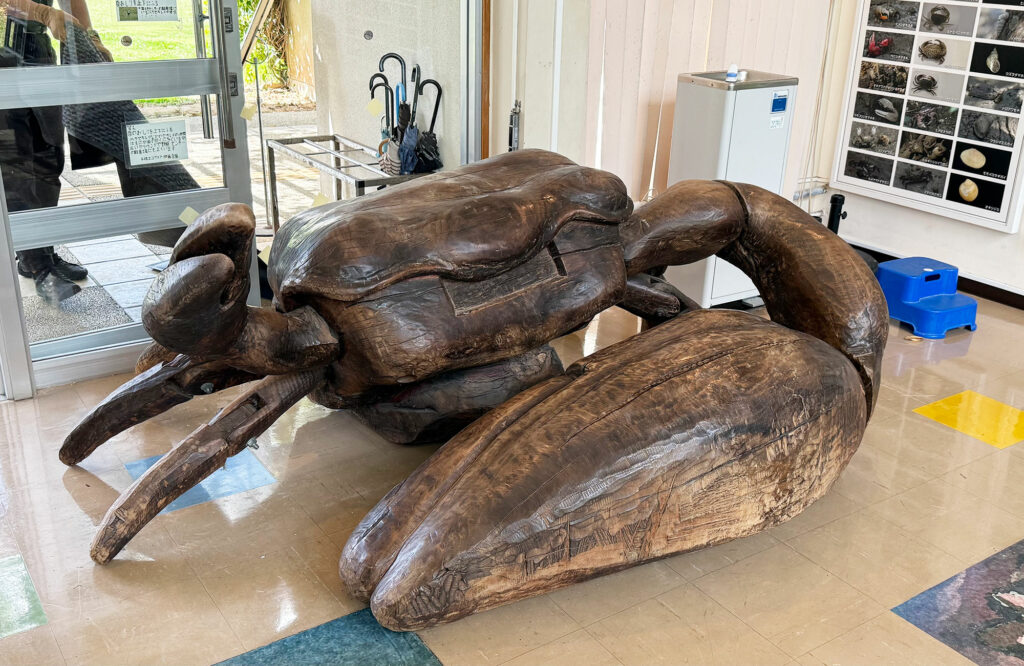 小禄小学校のシオマネキが干潟へ里帰り【後編】シオマネキ引っ越し大作戦!( 2026年2月21日)|主催:漫湖水鳥・湿地センター管理運営協議会|那覇市立小禄小学校