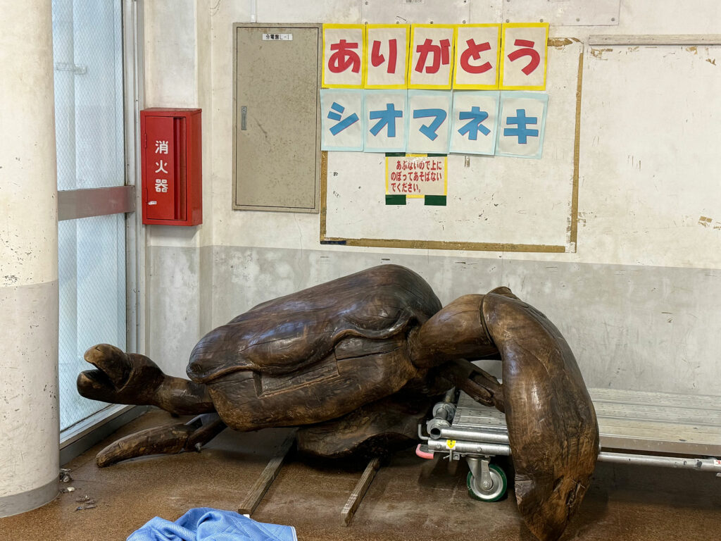 小禄小学校のシオマネキが干潟へ里帰り【後編】シオマネキ引っ越し大作戦!( 2026年2月21日)|主催:漫湖水鳥・湿地センター管理運営協議会|那覇市立小禄小学校