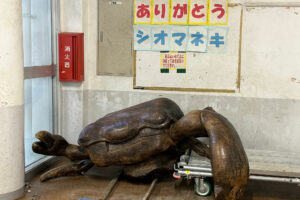 小禄小学校のシオマネキが干潟へ里帰り【後編】シオマネキ引っ越し大作戦！（ 2026年2月21日）｜主催：漫湖水鳥・湿地センター管理運営協議会｜那覇市立小禄小学校