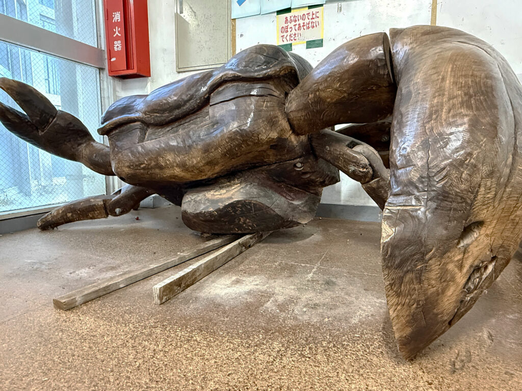 小禄小学校のシオマネキが干潟へ里帰り【後編】シオマネキ引っ越し大作戦!( 2026年2月21日)|主催:漫湖水鳥・湿地センター管理運営協議会|那覇市立小禄小学校