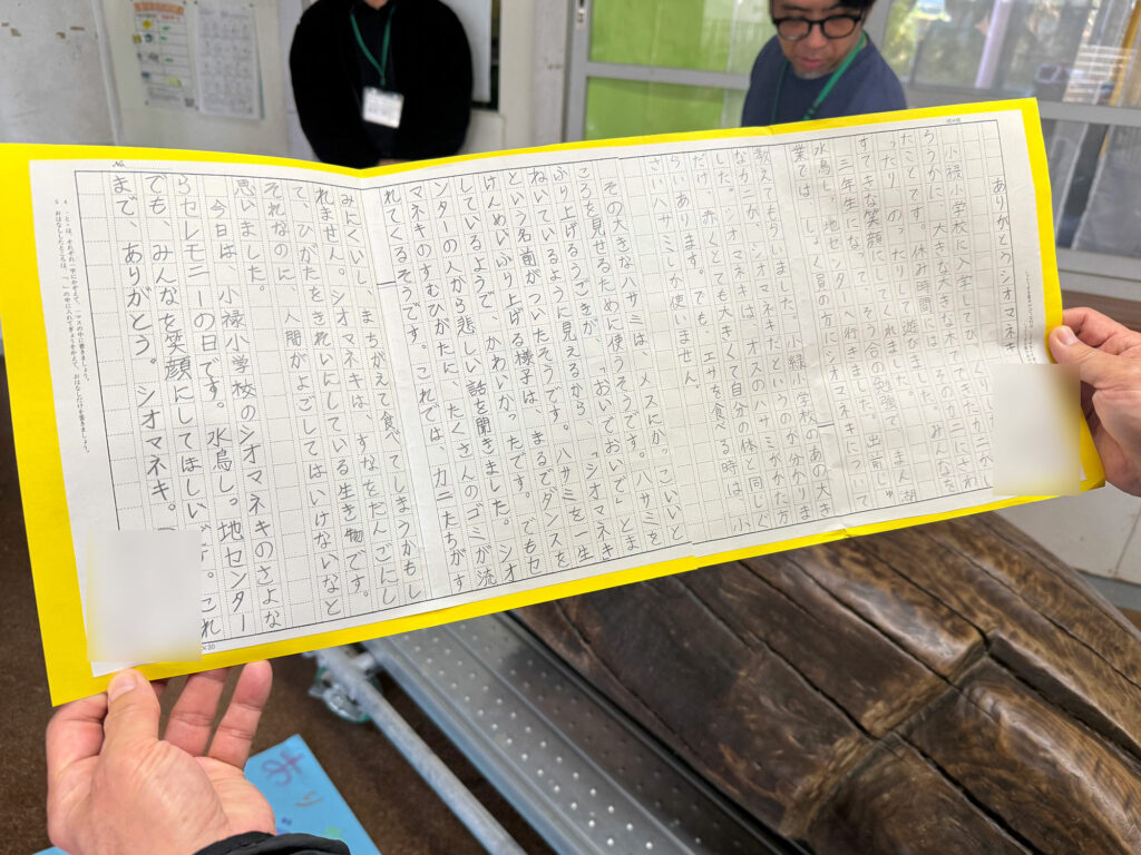 小禄小学校のシオマネキが干潟へ里帰り【後編】シオマネキ引っ越し大作戦!( 2026年2月21日)|主催:漫湖水鳥・湿地センター管理運営協議会|那覇市立小禄小学校