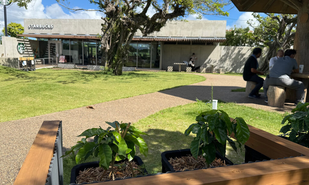 漂着ゴミのアートから”地域の未来”を考えつなぐ『つなご・みらいアートプロジェクト』|那覇市鏡原町漫湖公園